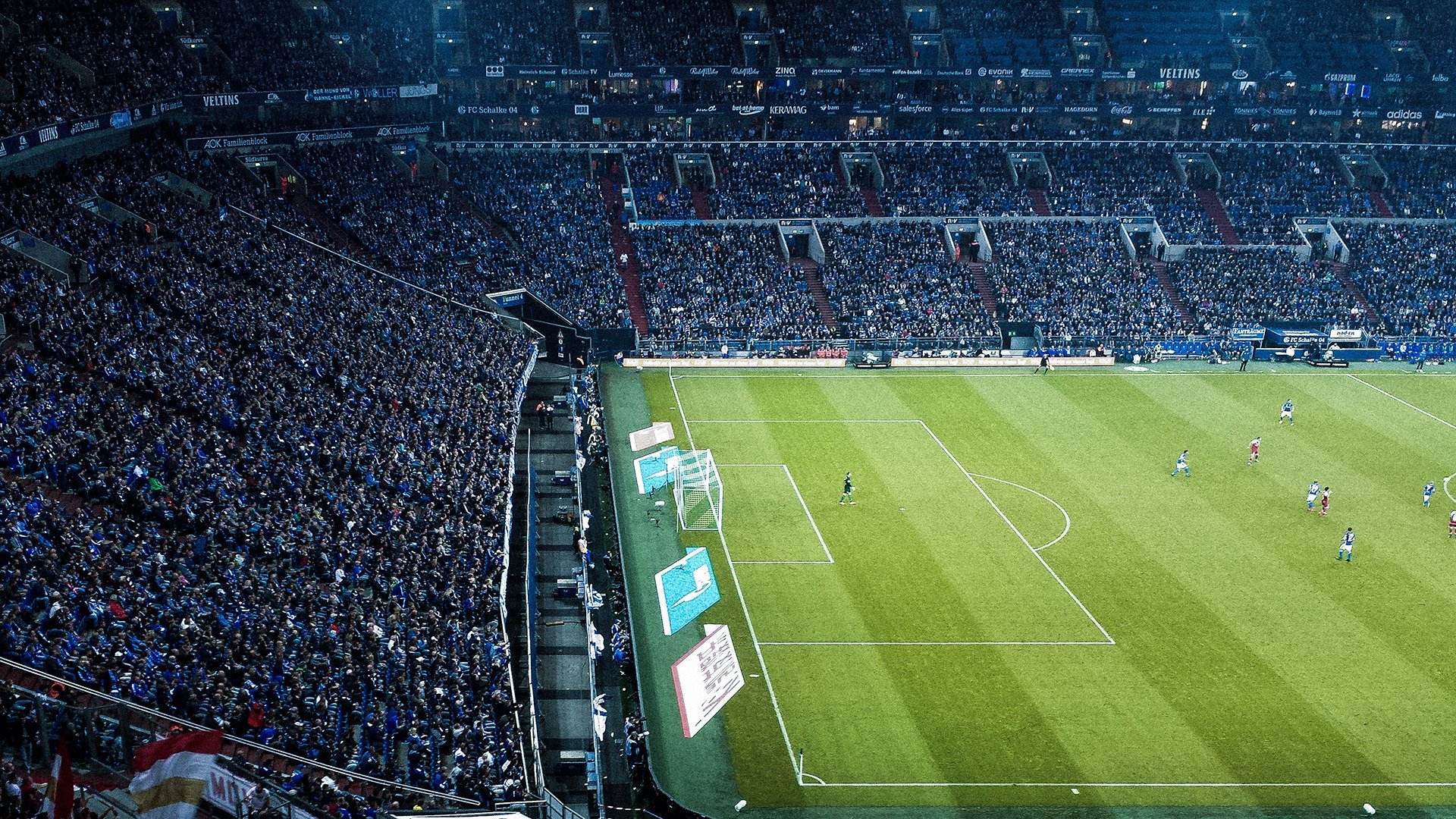 体育冠军背后的故事