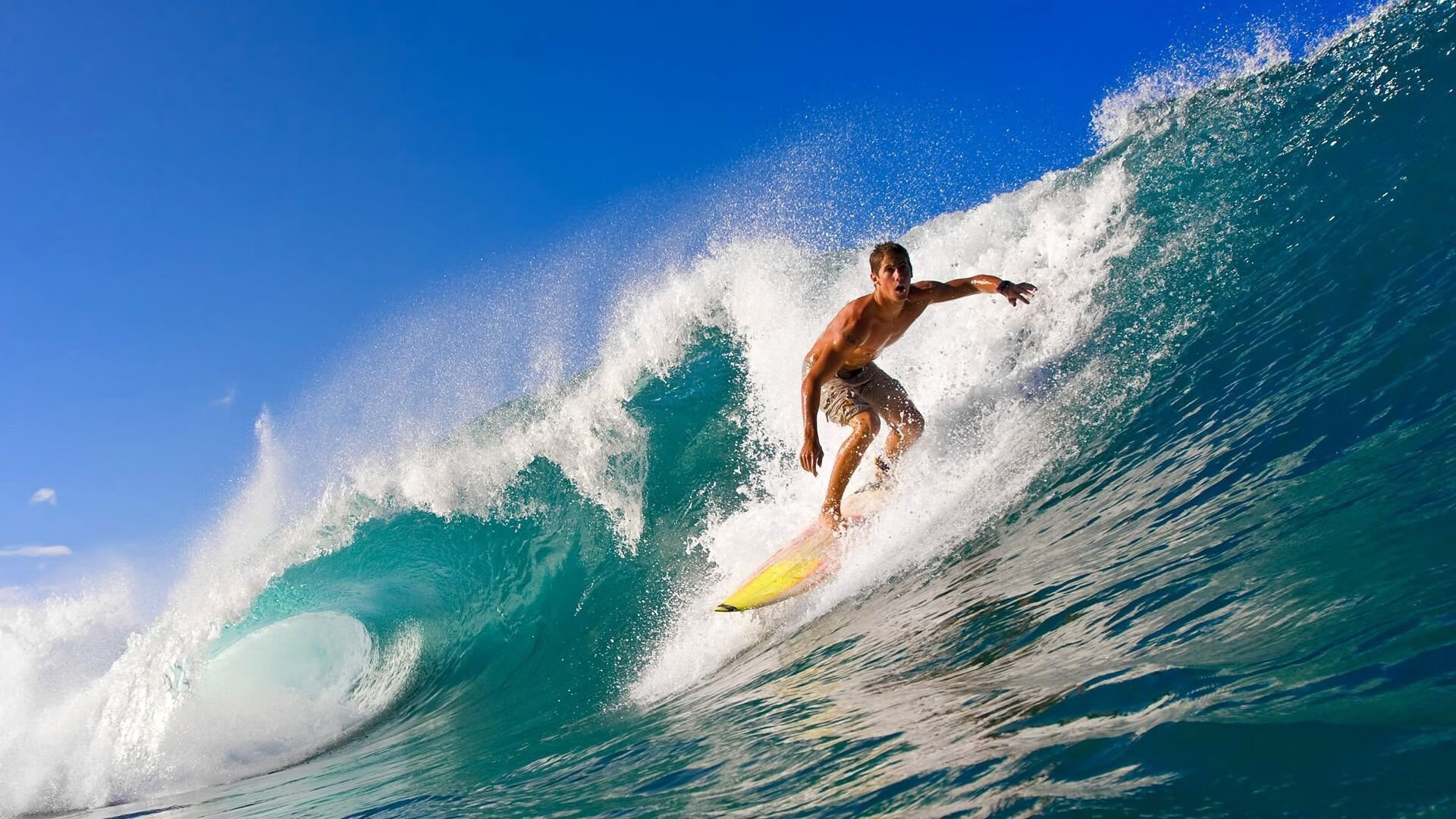 全球体育赛事最新排行榜